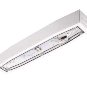 Oprawa awaryjna SUPREMA LED do niskich stref otwartych SQ INTELIGHT z testem centralnym (montaż natynkowy)