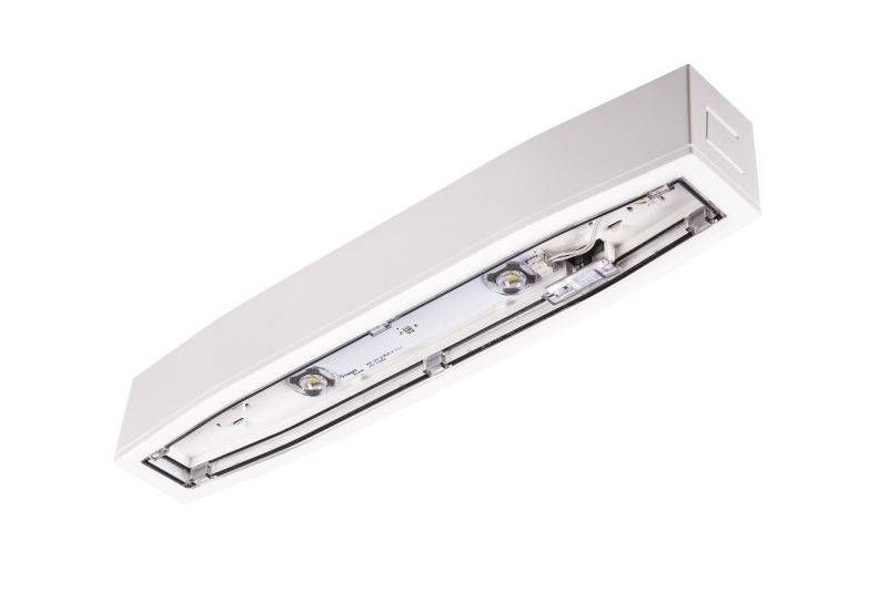 Oprawa awaryjna SUPREMA LED do punktów bezpieczeństwa SP INTELIGHT z testem centralnym (montaż natynkowy)