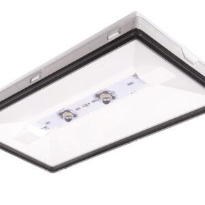 Oprawa awaryjna VELLA LED do punktów bezpieczeństwa SP INTELIGHT z testem automatycznym (do niskich temperatur)